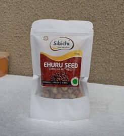 SIBICH GLOBAL VENTURES LIMITED.