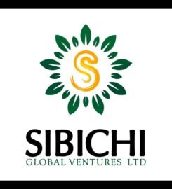 SIBICH GLOBAL VENTURES LIMITED.